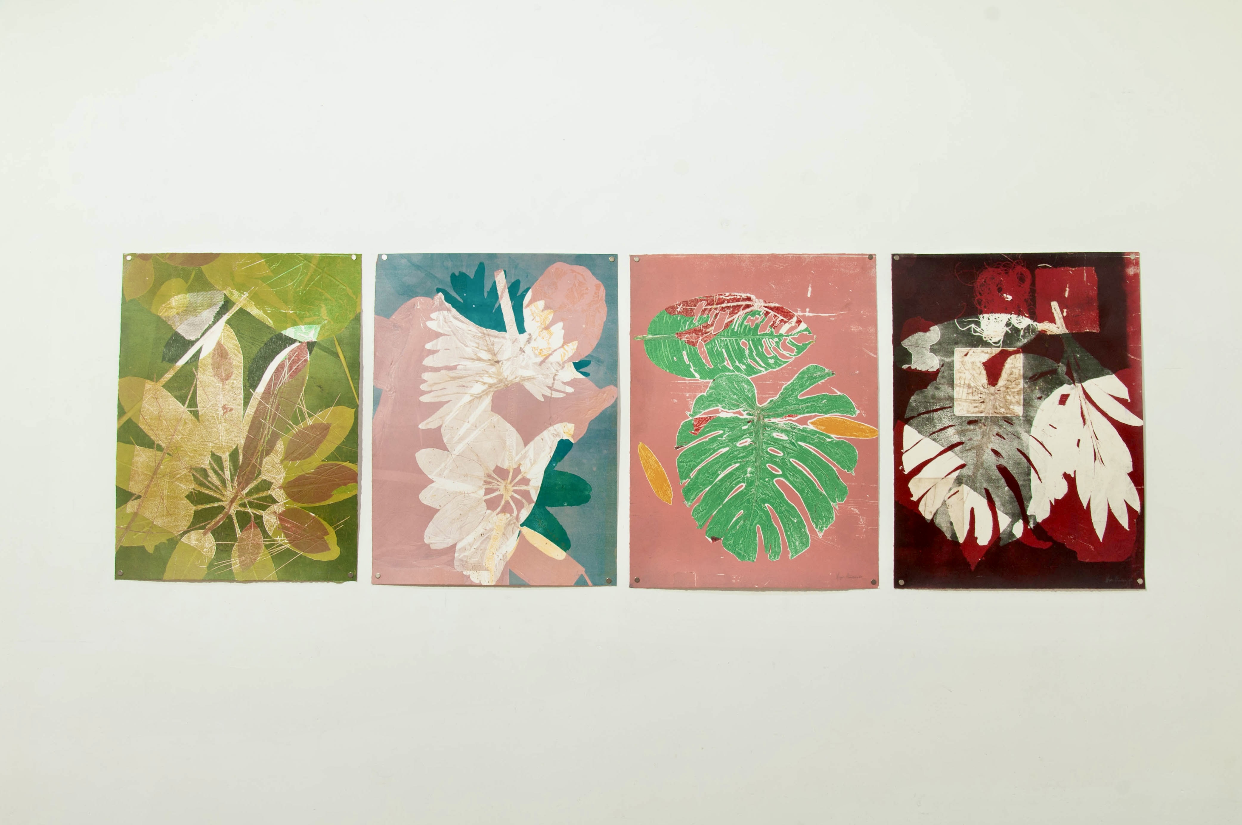 Vista de exposição do conjunto vegetal